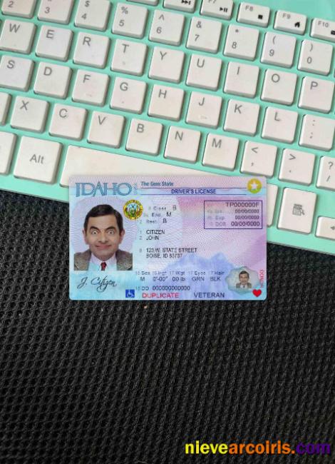 USA Idaho driving license photolook